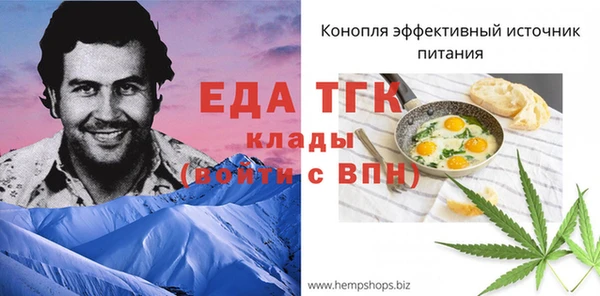 эйфоретик Инта