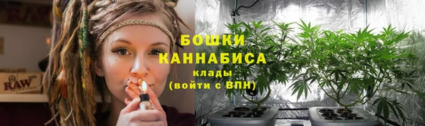 эйфоретик Инта