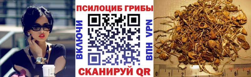 Купить  Болхов  Галлюциногенные грибы GOLDEN TEACHER 